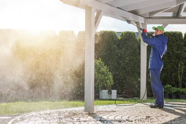 Best Sidewalk and Walkway Cleaning  in North Wilkesboro, NC